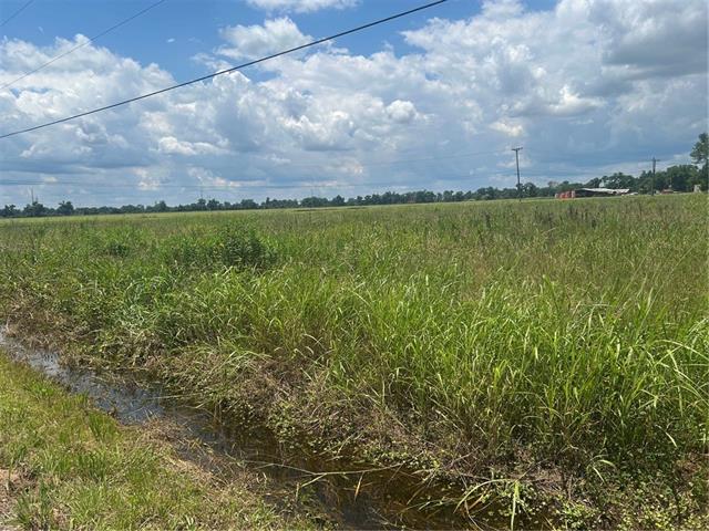 Lot 3 School House Road Alexandria, LA 71303 - Photo 5 of 6