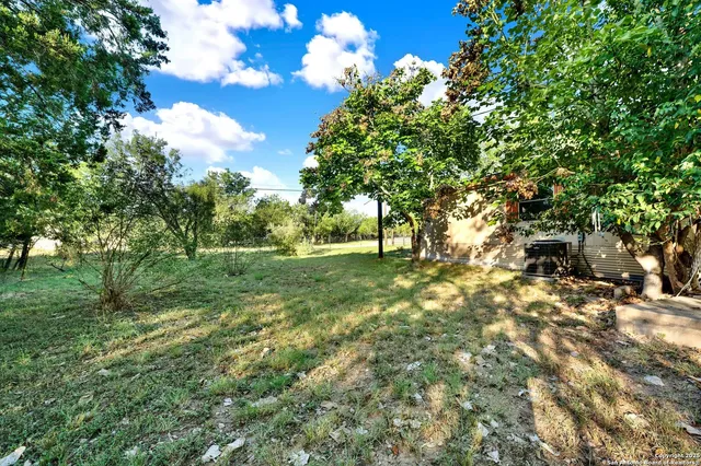 a view of yard with tree