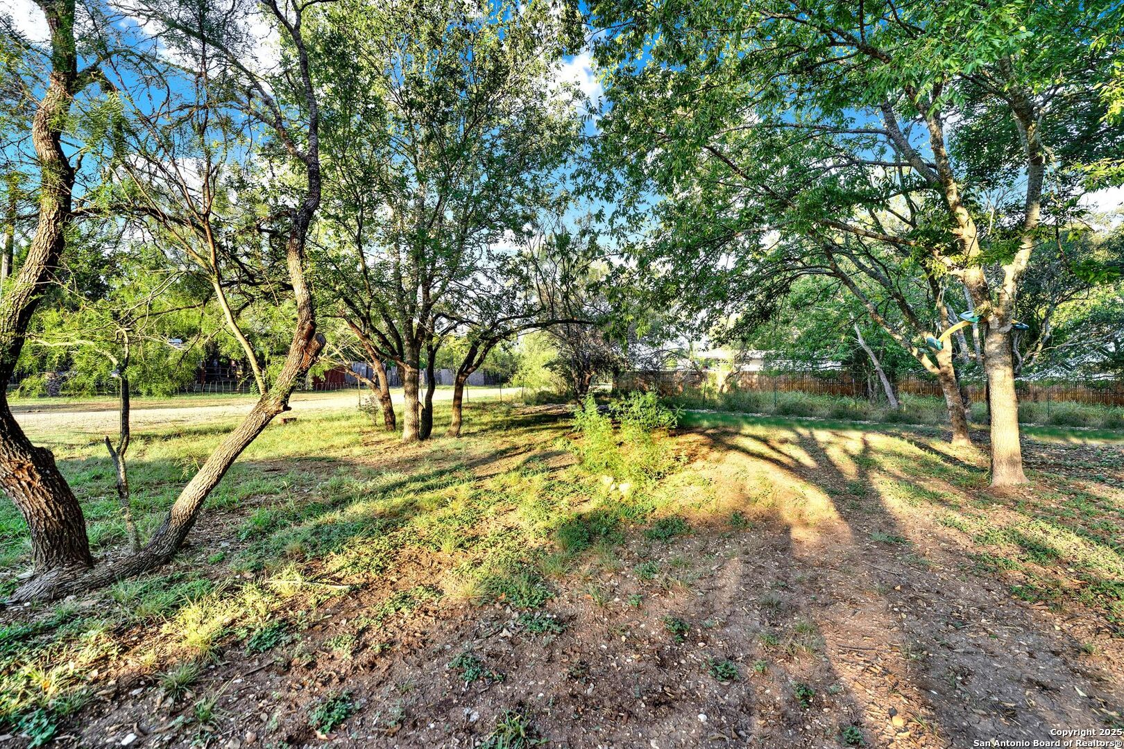 245 Bandera Drive Bandera, TX 78003 - Photo 36 of 37 a view of yard with tree