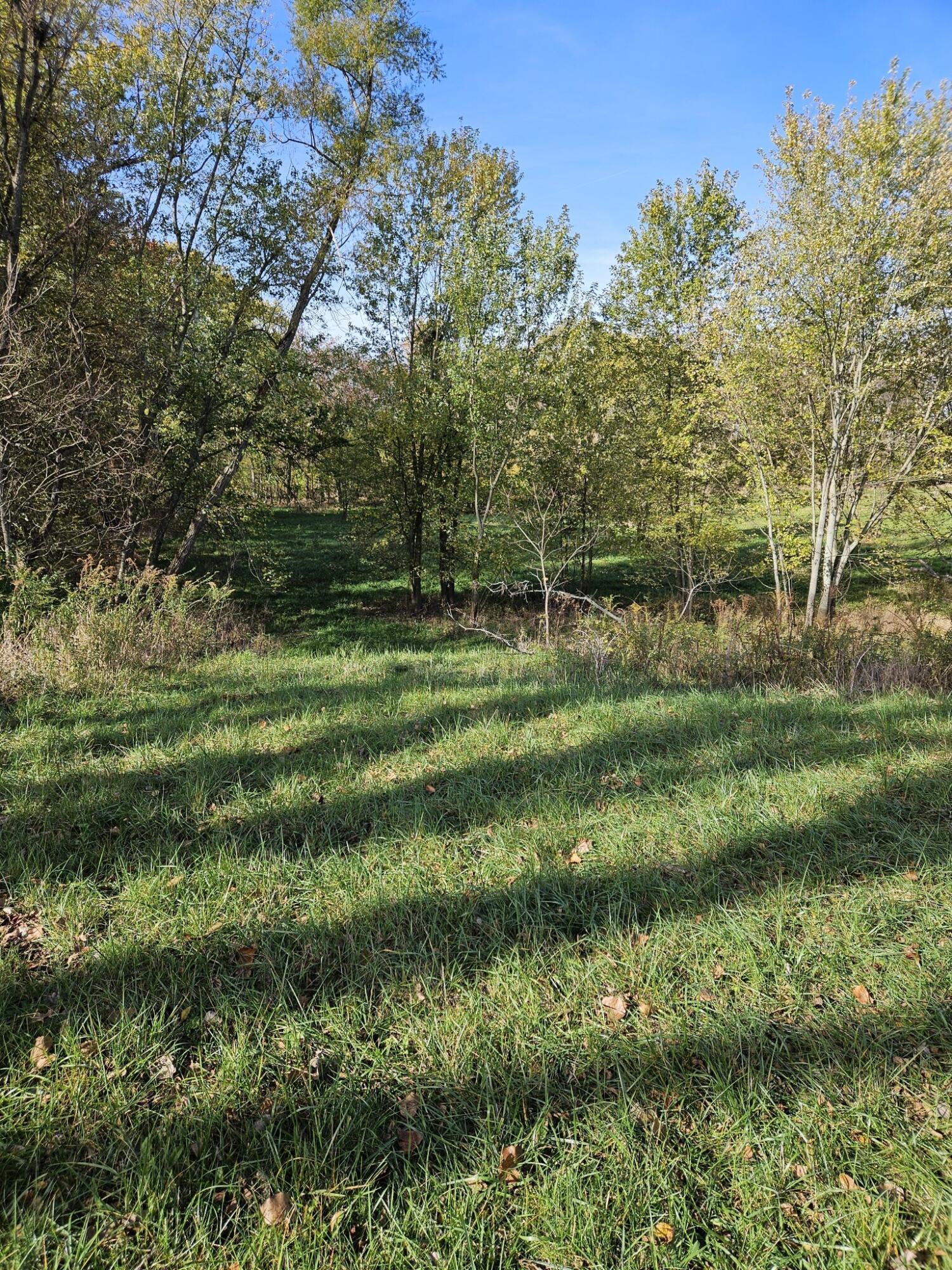 2209 Grewell Road London, OH 43140 - Photo 4 of 17 1000025938