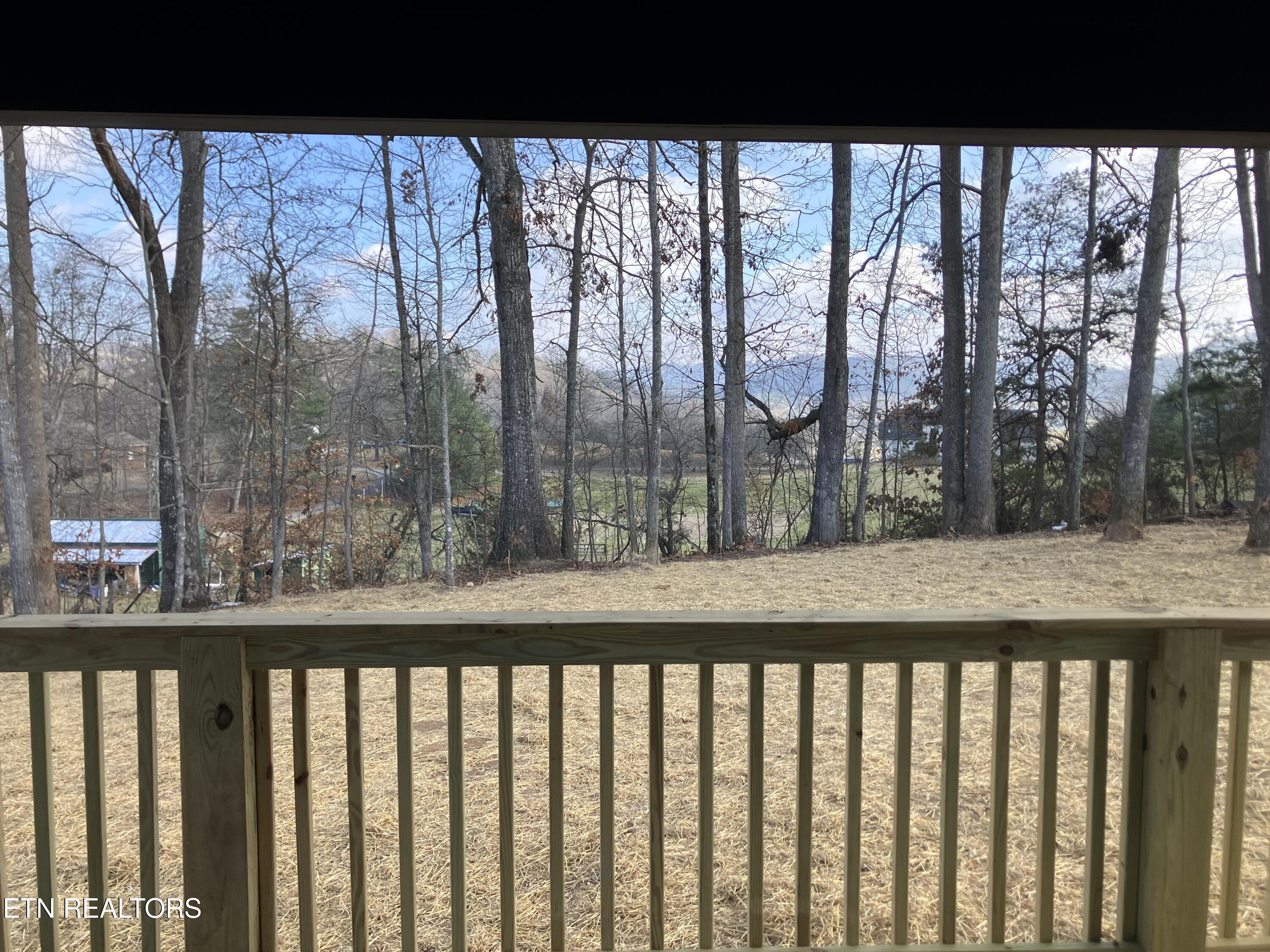 198 Signet Lane Maynardville, TN 37807 - Photo 14 of 35 IMG_5654