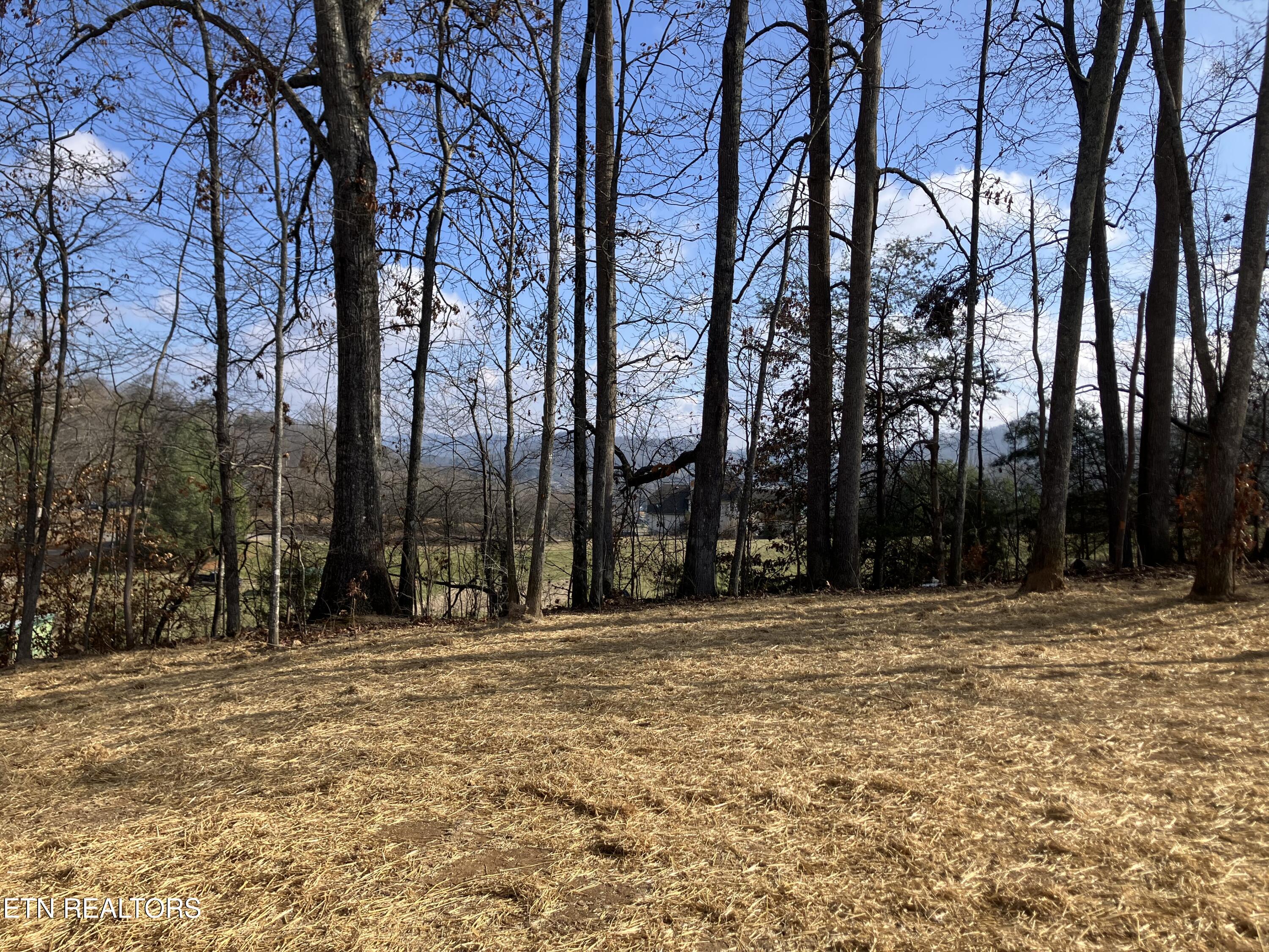 198 Signet Lane Maynardville, TN 37807 - Photo 4 of 35 IMG_5671