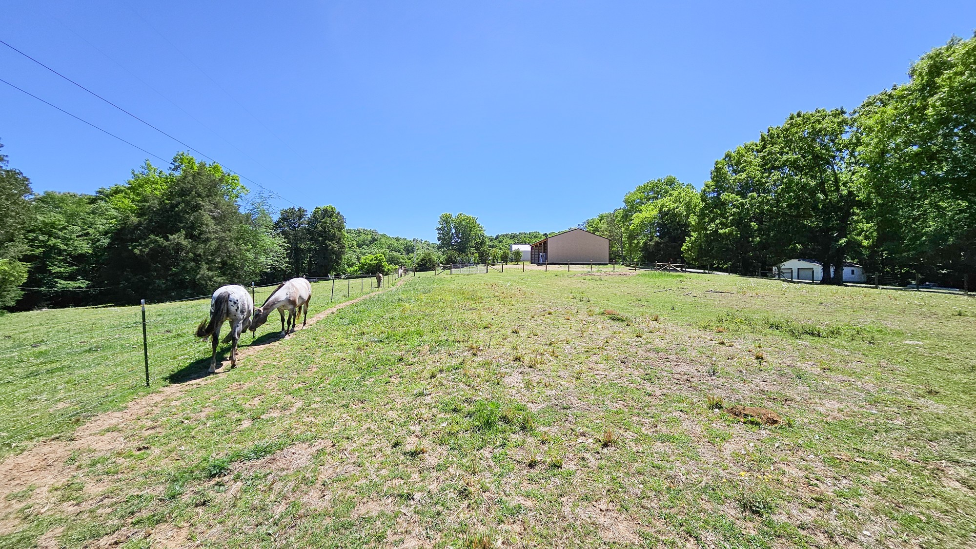 789 Holt Hollow Road Prospect, TN 38477 - Photo 48 of 69
