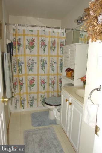 43191 Riders Square Broadlands, VA 20148 - Photo 19 of 21 a bathroom with a granite countertop sink a toilet and shower