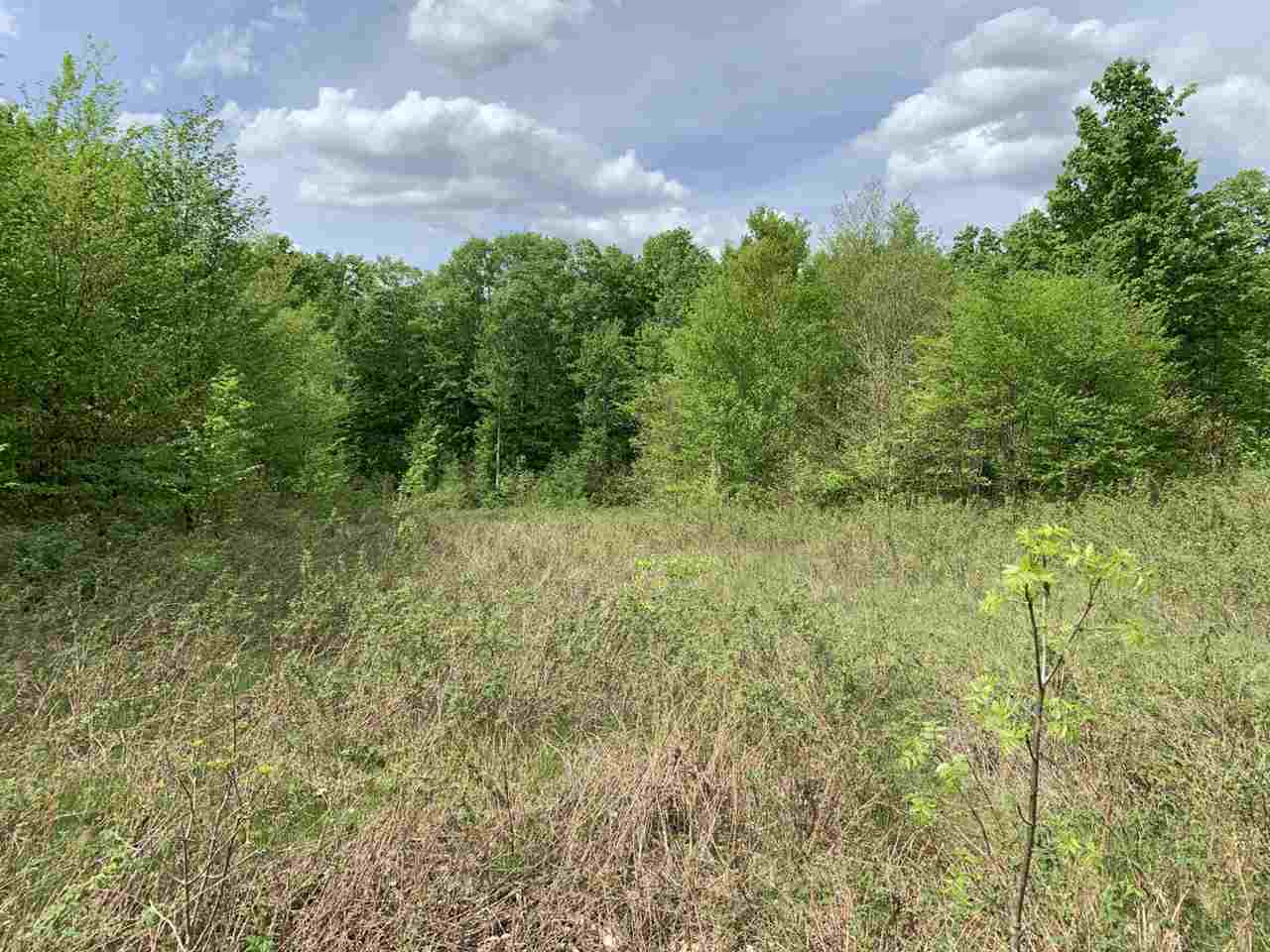 40 South 17 Road Boon, MI 49618 - Photo 19 of 33