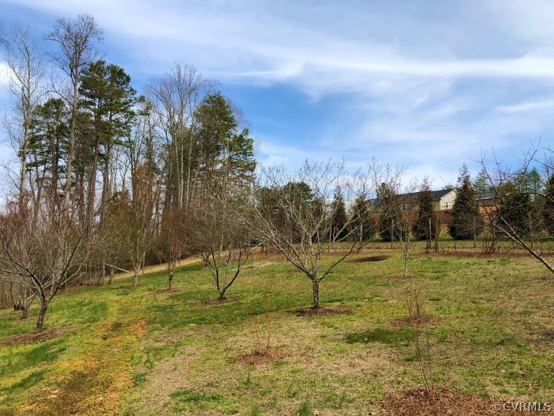 74 Easters Road Boydton, VA 23917 - Photo 45 of 47 Gallery Image 45