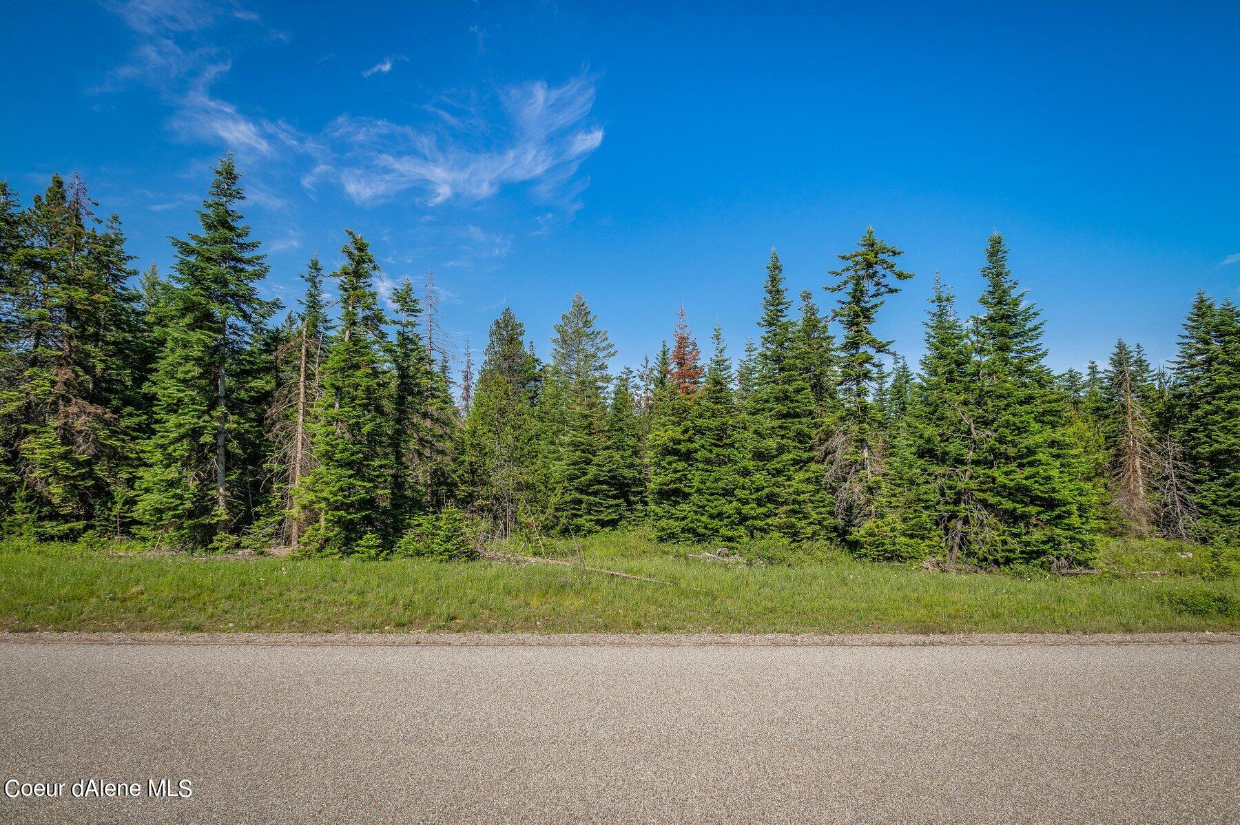 Lot 10 East Riley Loop Athol, ID 83801 - Photo 3 of 25 --3.jpg-SMALL