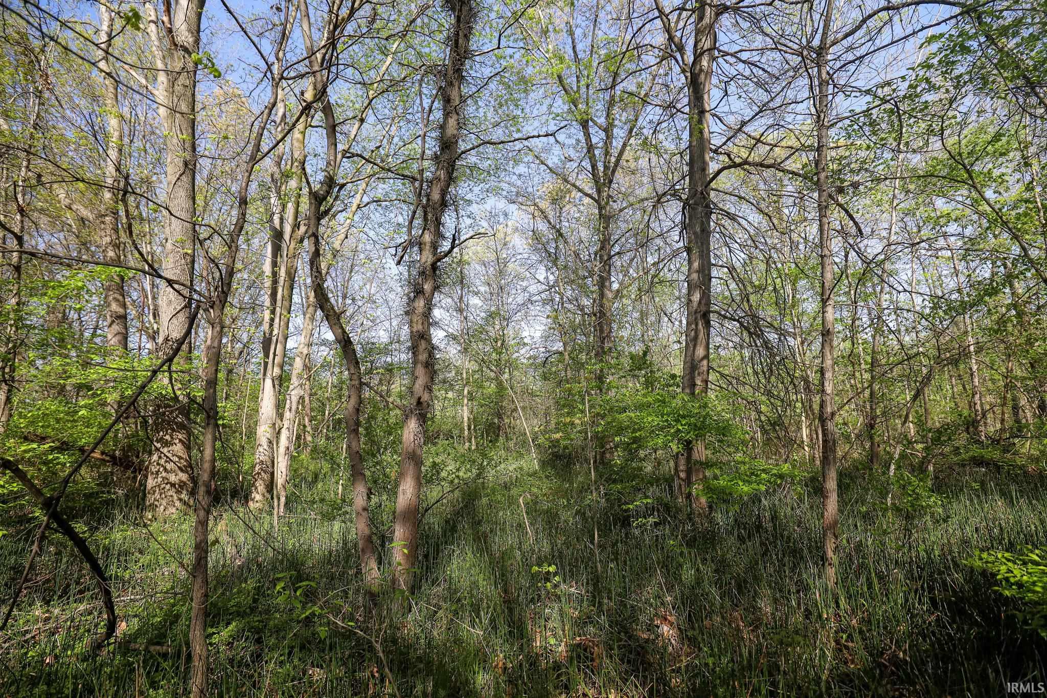 Sycamore Bend Rochester, IN 46975 - Photo 11 of 24