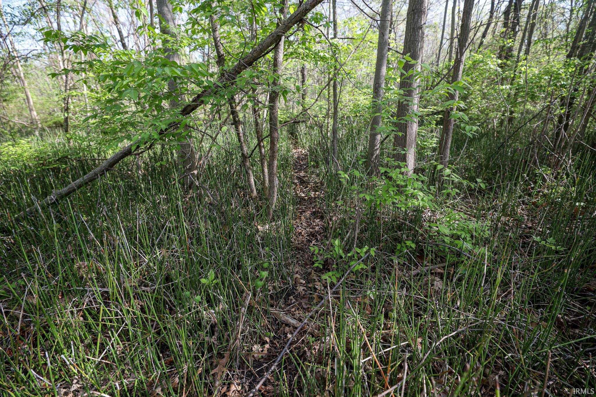 Sycamore Bend Rochester, IN 46975 - Photo 12 of 24
