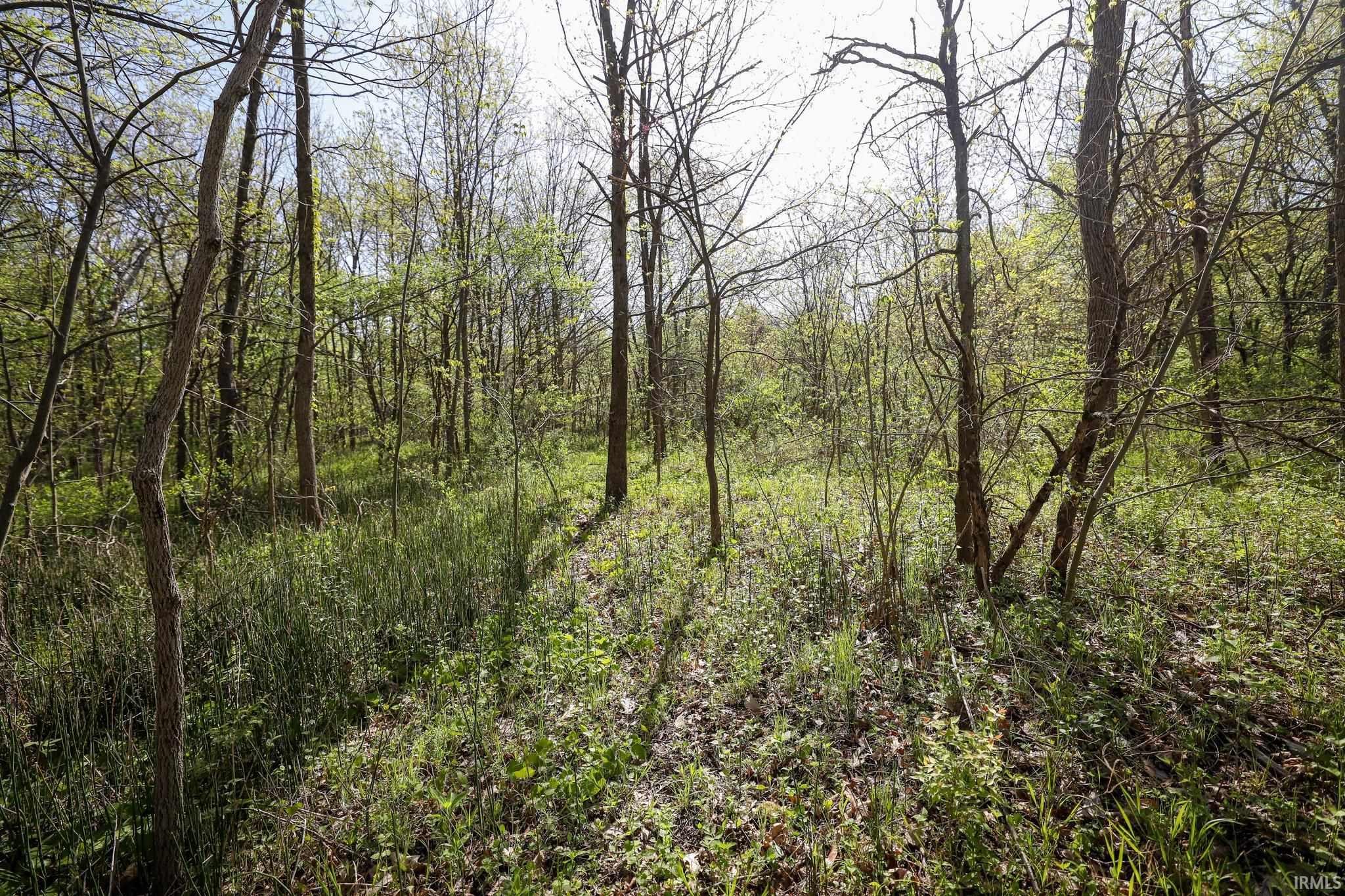 Sycamore Bend Rochester, IN 46975 - Photo 16 of 24