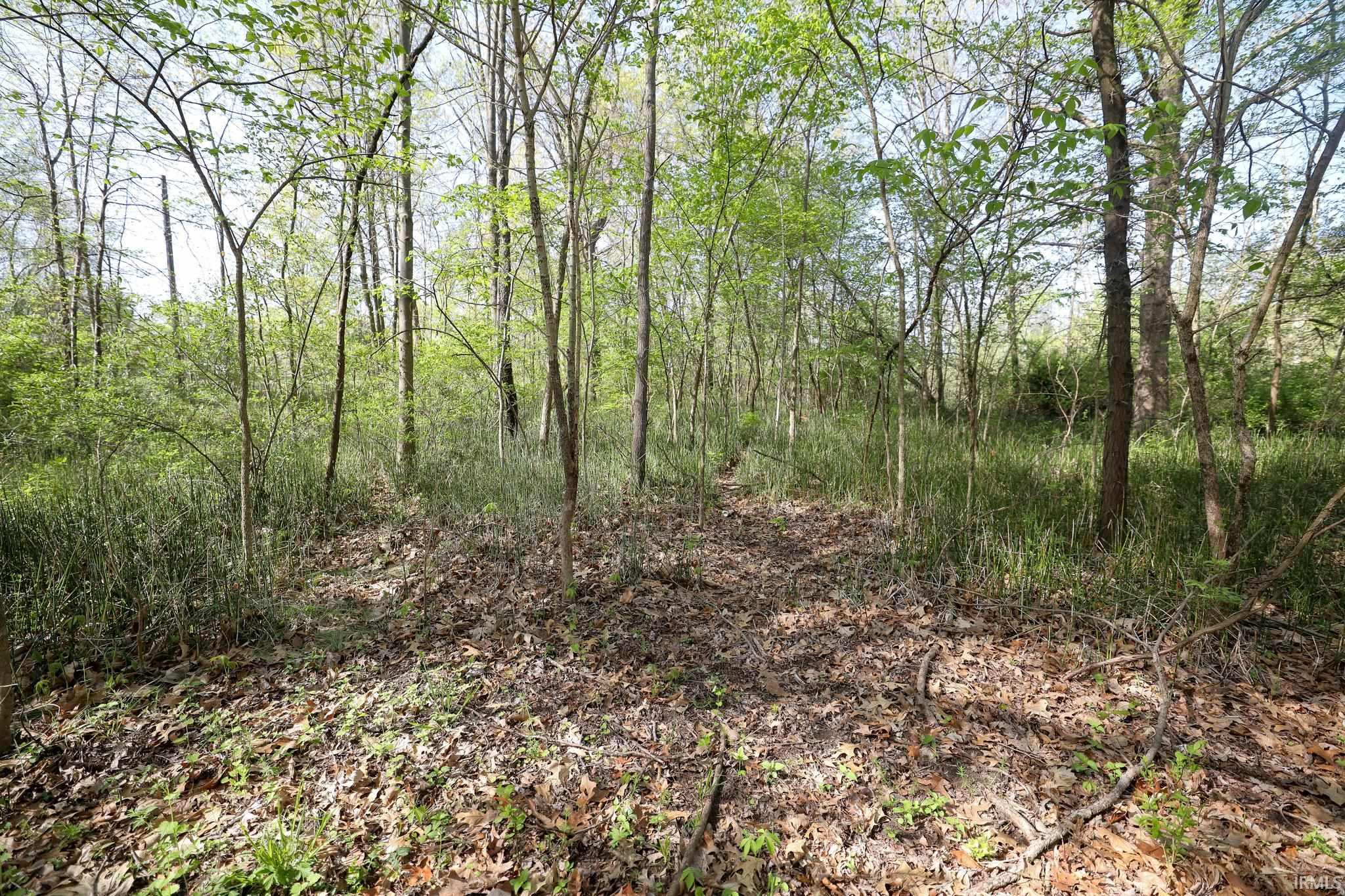 Sycamore Bend Rochester, IN 46975 - Photo 23 of 24