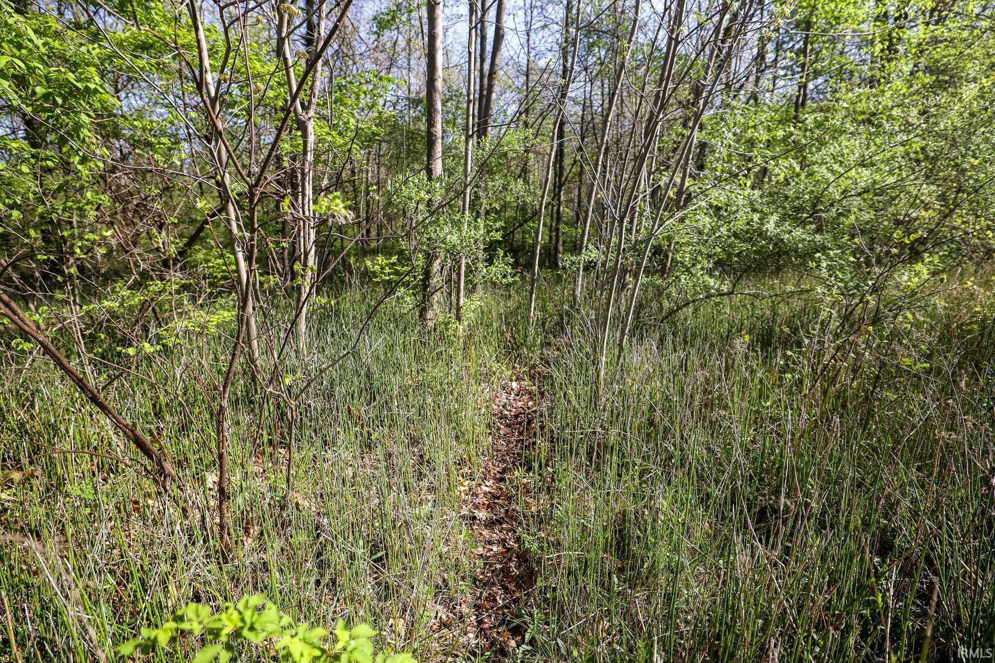 Sycamore Bend Rochester, IN 46975 - Photo 10 of 24