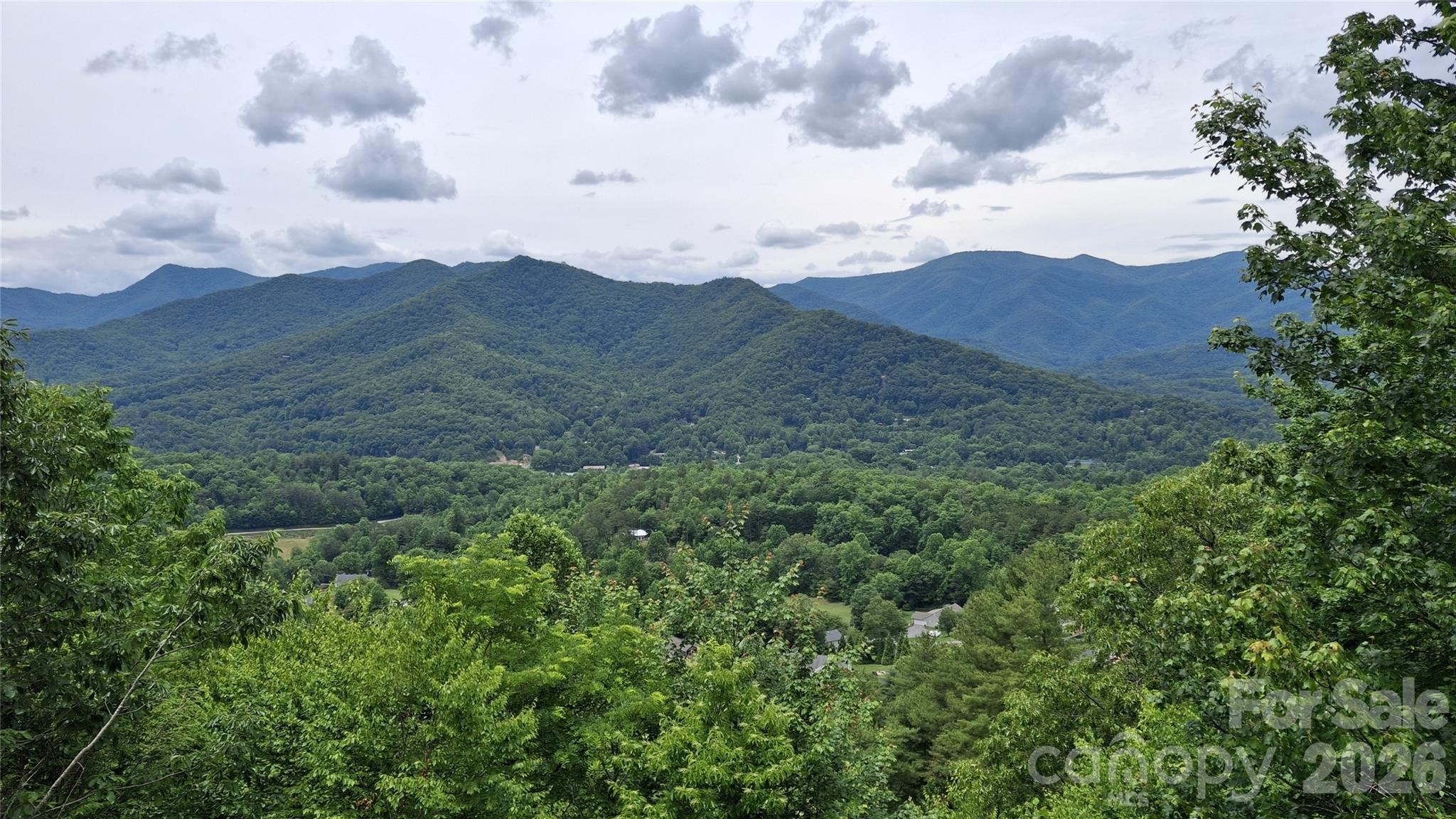 77 Kako Ridge, Unit 57 Sylva, NC 28779 - Photo 4 of 19