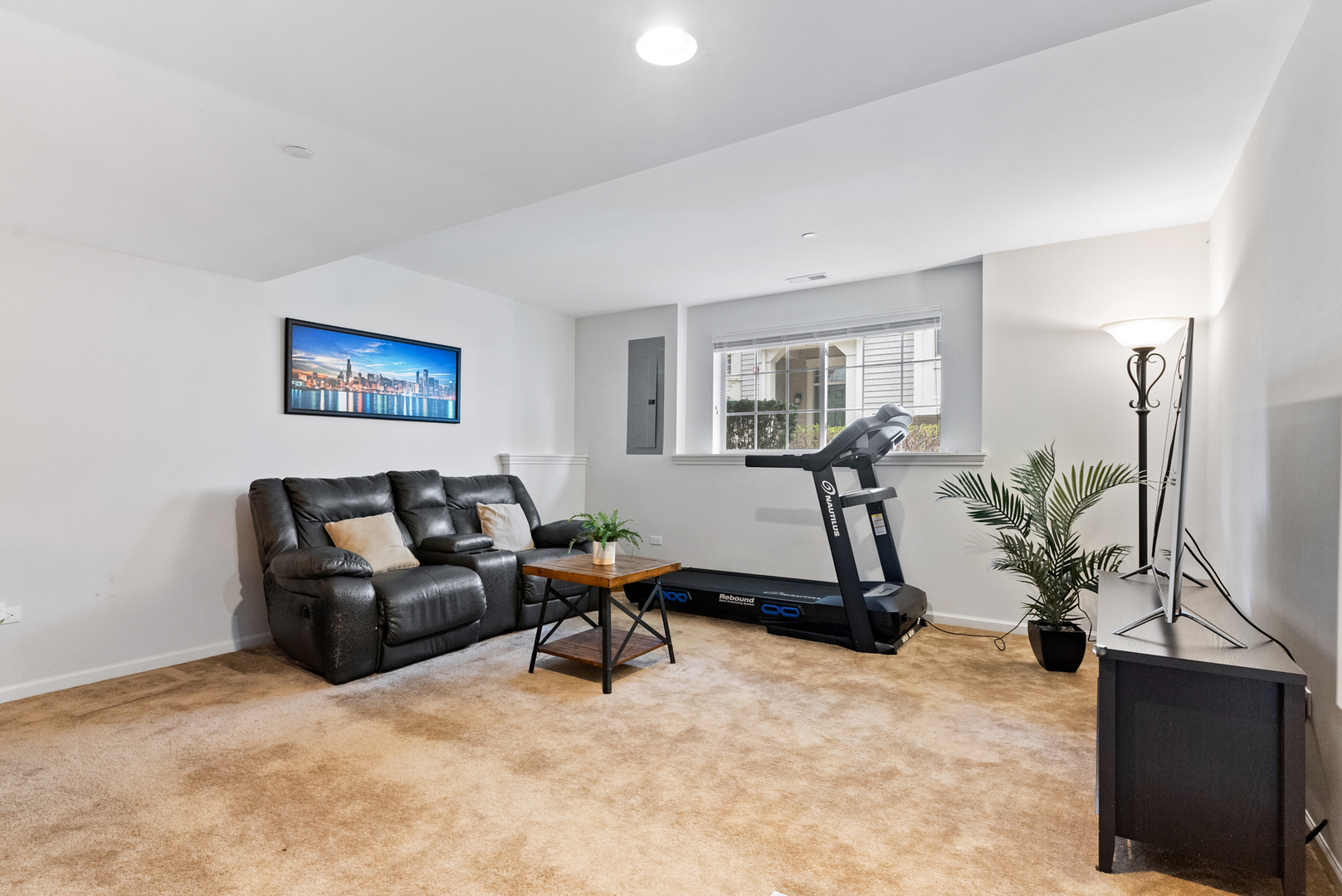 303 South NW Highway, Unit 2 Park Ridge, IL 60068 - Photo 23 of 30 a living room with furniture a rug potted plant and a window