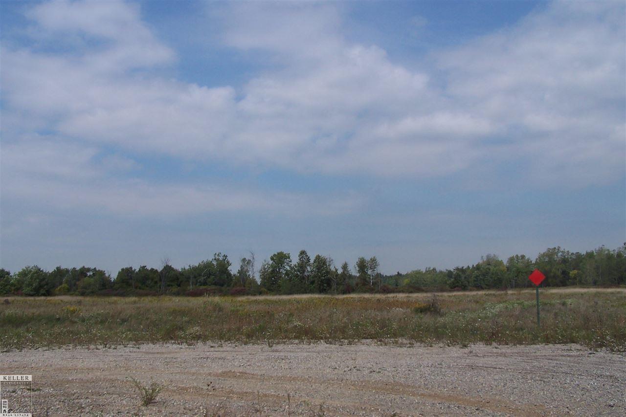 Parcel I-1 Parcel I-1 Ray Lane Imlay City, MI 48444 - Photo 2 of 7