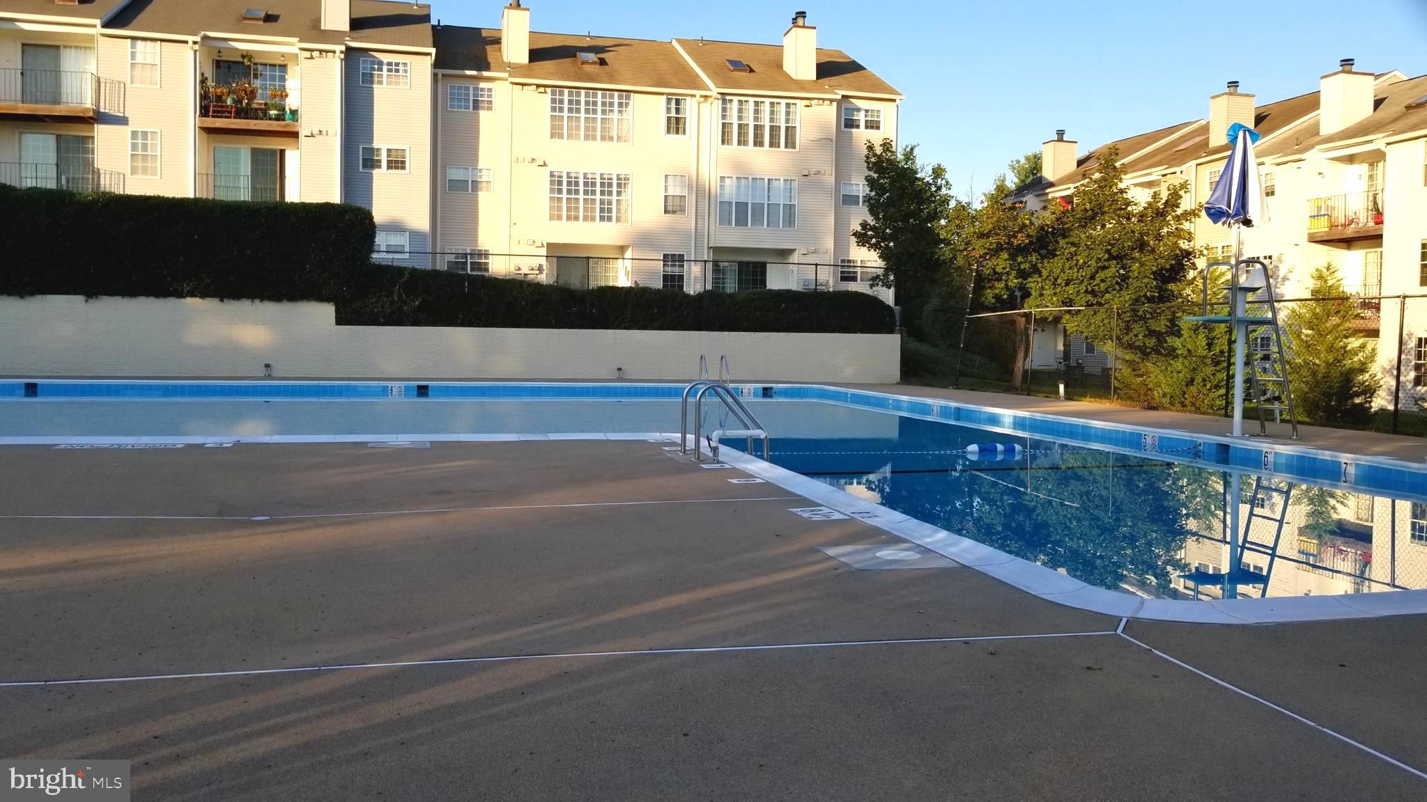 130 Fort Evans Road Southeast, Unit D Leesburg, VA 20175 - Photo 13 of 13 Community Pool