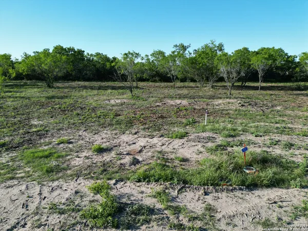 a view of a field with trees in the background