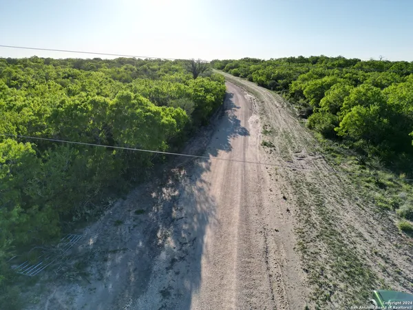 a view of a forest with a yard