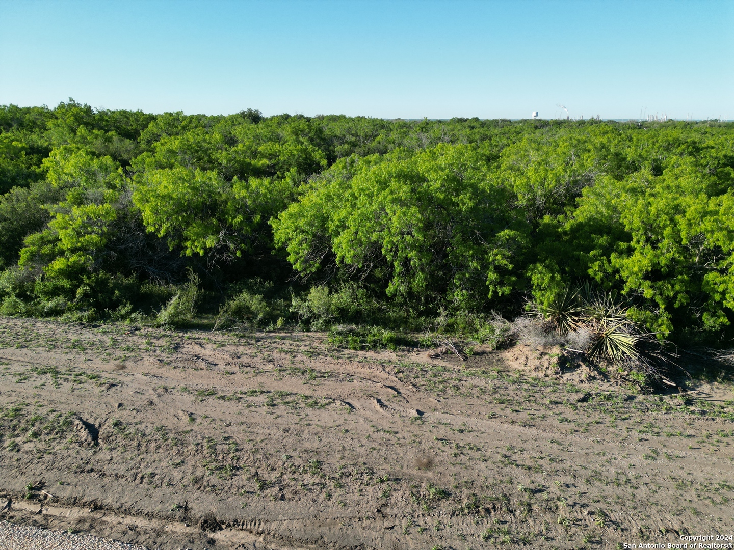 750 Cr 200 Three Rivers, TX 78071 - Photo 7 of 9 a view of a yard with a tree