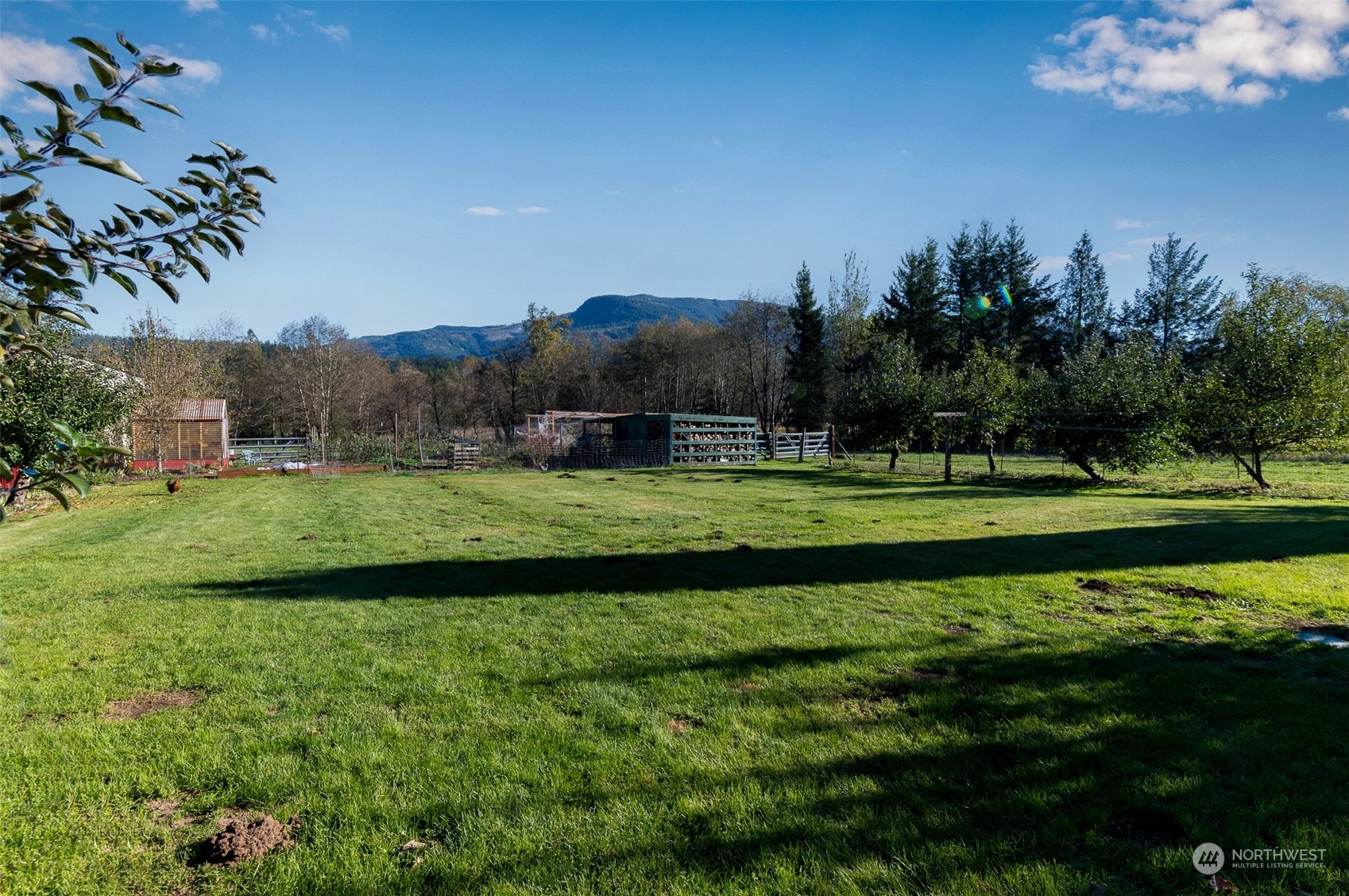 8170 North Telegraph Road Everson, WA 98247 - Photo 32 of 40 a view of a park
