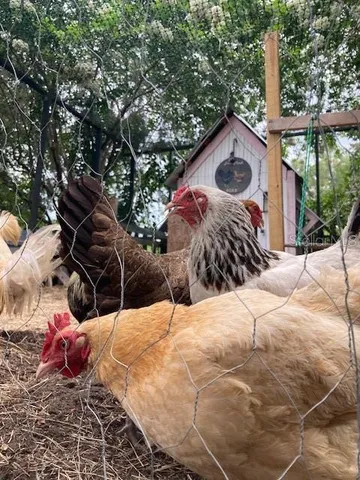 $2,500 | 483 North Lakeview Drive, Lake Helen, FL 32744