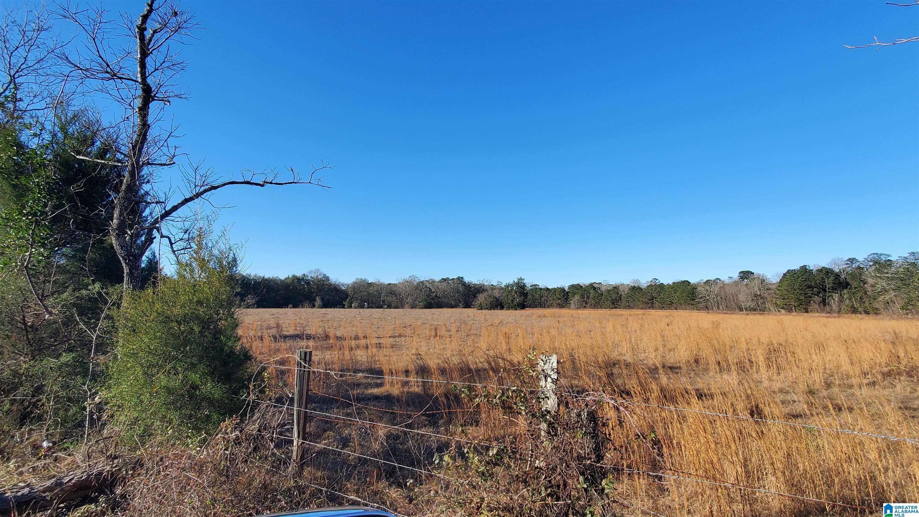 Sandtown Road, Unit 1 Millbrook, AL 36054 - Photo 6 of 11