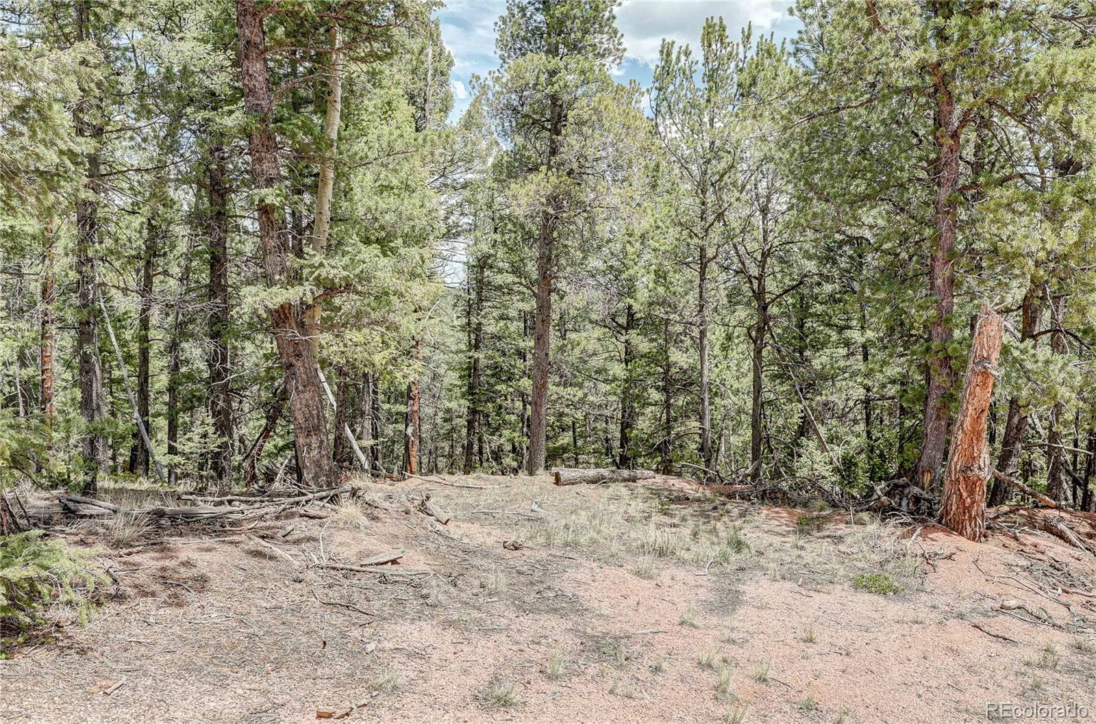 59 Robin Point Divide, CO 80814 - Photo 8 of 30 a view of outdoor space and tree