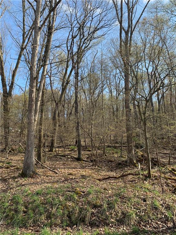 0 Renfrew Road Renfrew, PA 16053 - Photo 1 of 6