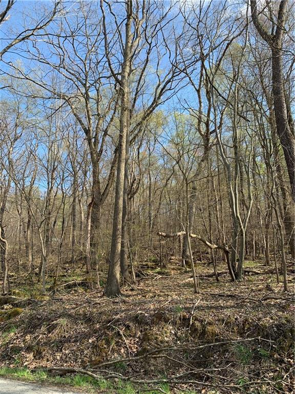 0 Renfrew Road Renfrew, PA 16053 - Photo 2 of 6