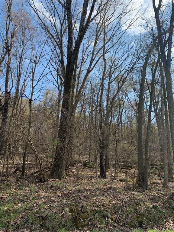0 Renfrew Road Renfrew, PA 16053 - Photo 3 of 6
