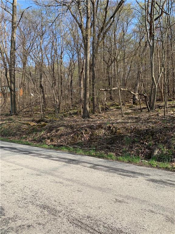 0 Renfrew Road Renfrew, PA 16053 - Photo 4 of 6