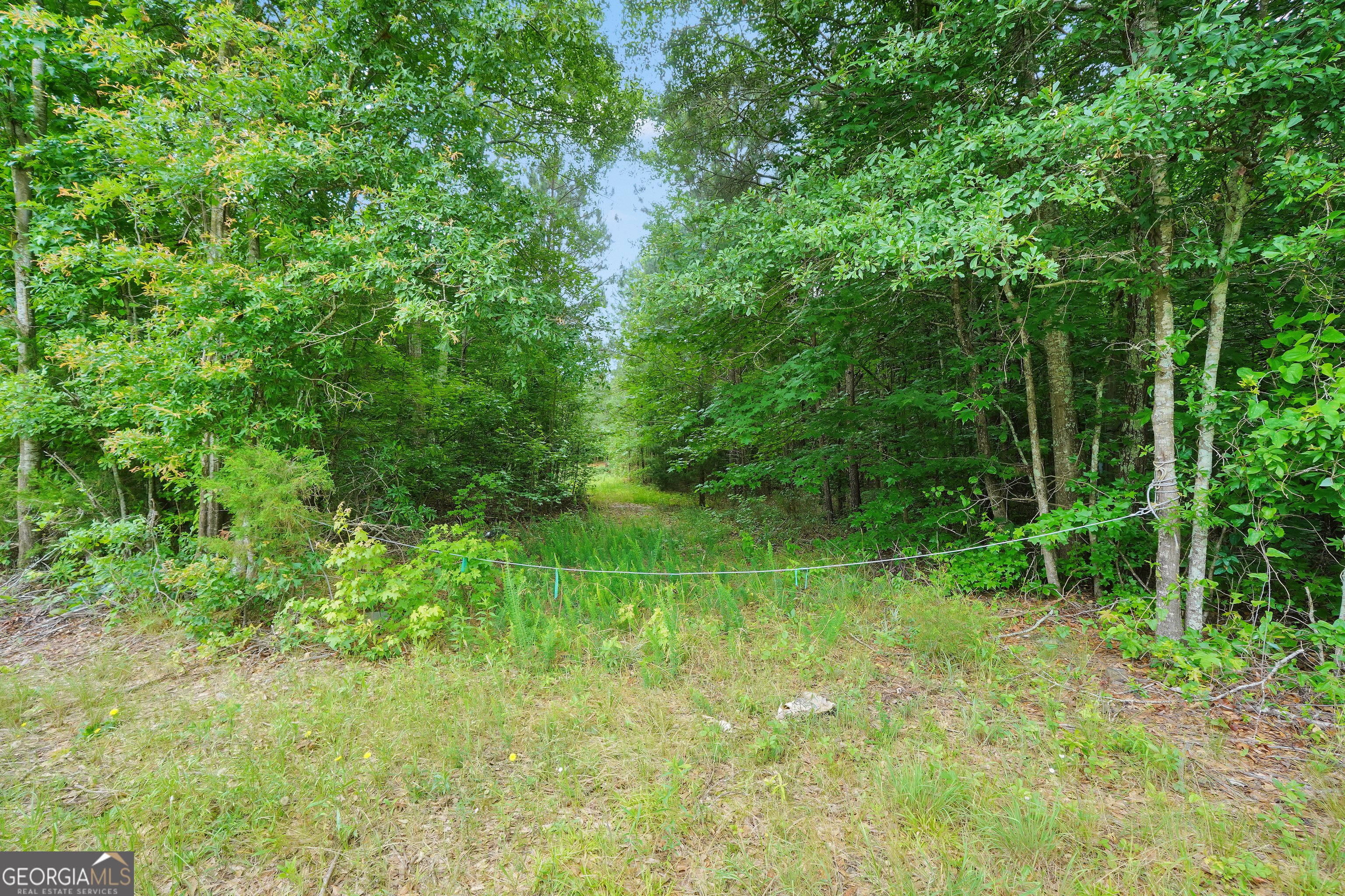 0 Cannafax Road Barnesville, GA 30204 - Photo 8 of 10