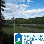 13787 Remlap Drive Remlap, AL 35133 - Photo 4 of 25