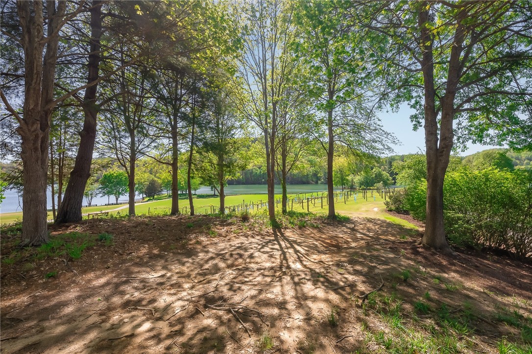 249 Long Cove Court Sunset, SC 29685 - Photo 17 of 21