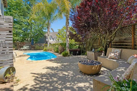 a view of a backyard with palm trees