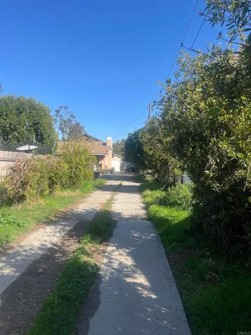 a view of street with lush green forest
