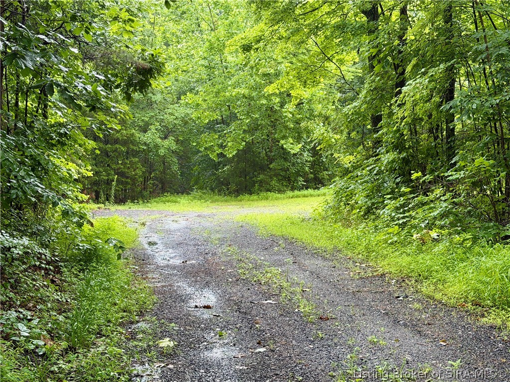 Pfister Road Otisco, IN 47163 - Photo 10 of 50