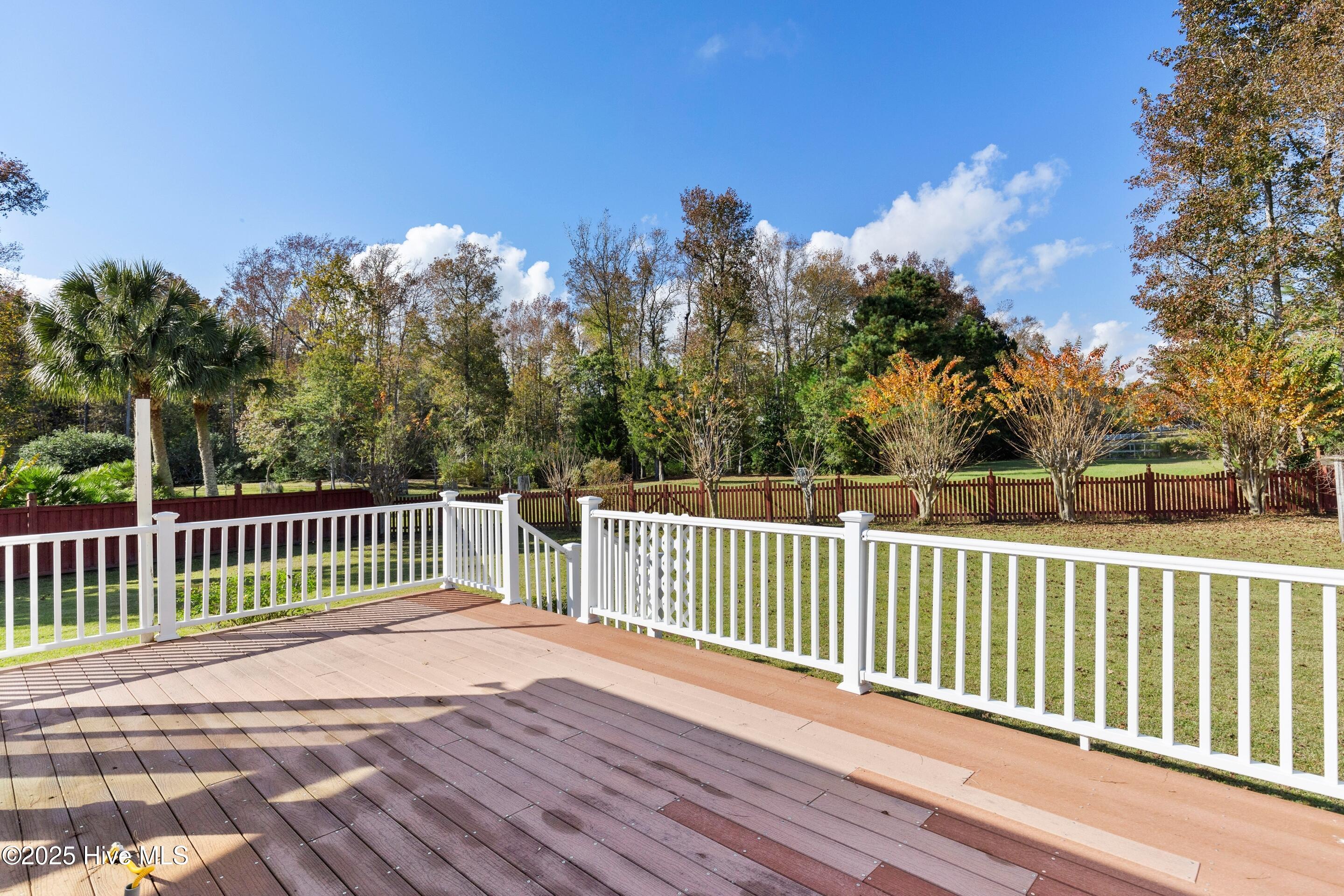 1501 Field View Road Wilmington, NC 28411 - Photo 52 of 57 Large back deck.