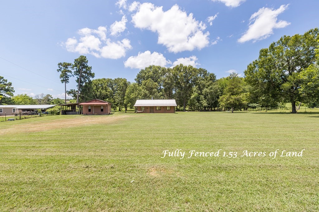 957 Dewitt Hinson Road Pollok, TX 75969 - Photo 3 of 28