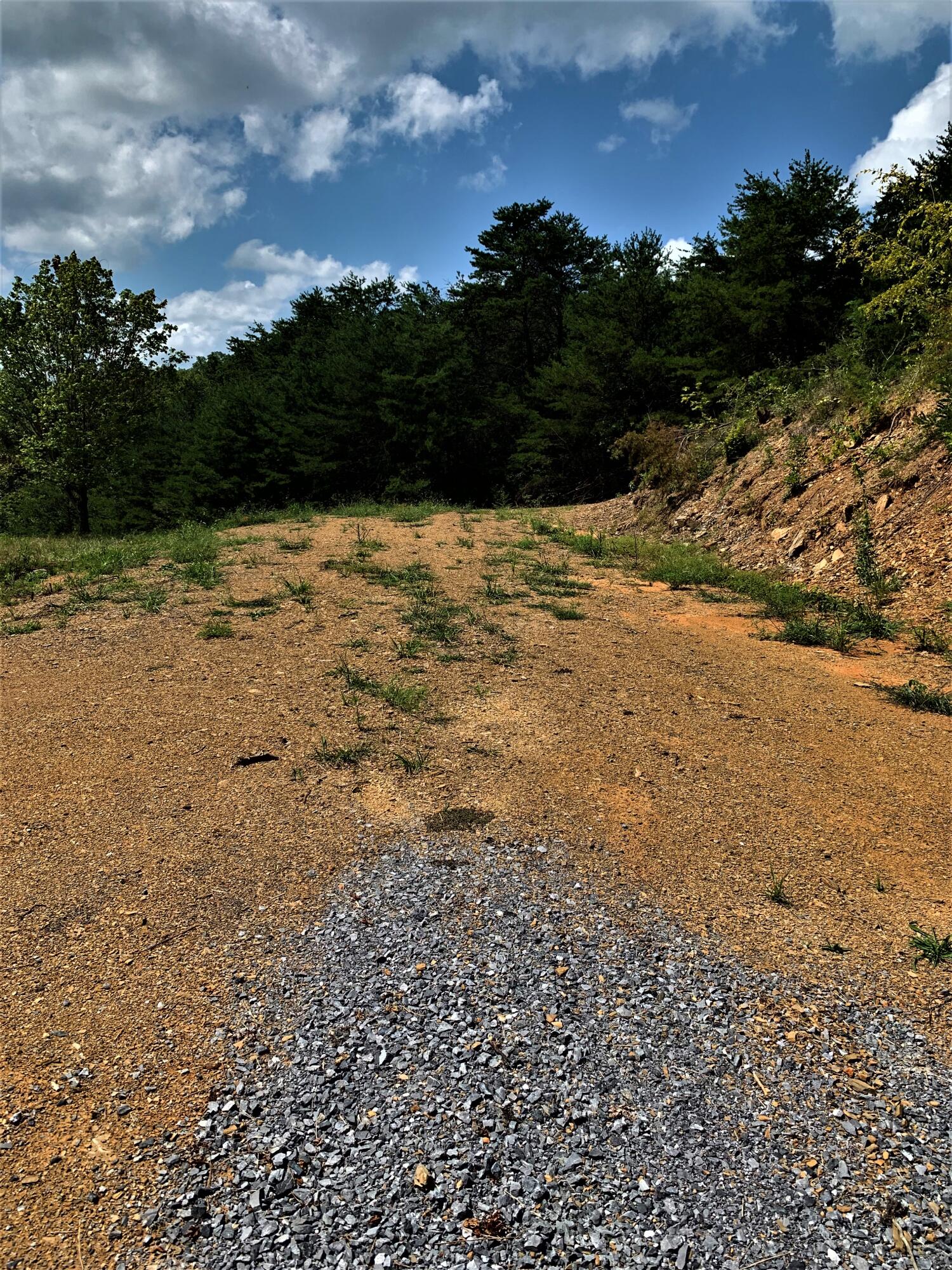3426 Dulaney Road Mosheim, TN 37818 - Photo 2 of 18 IMG_4627