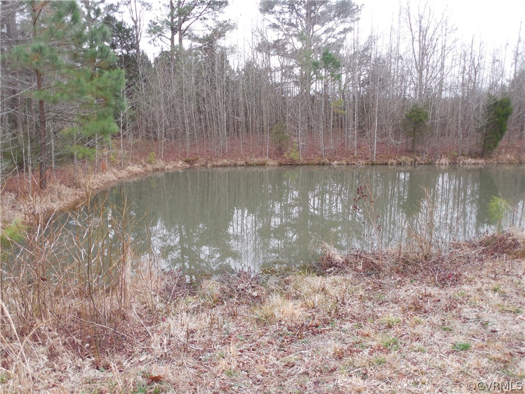28356 Butler Branch Road Petersburg, VA 23805 - Photo 15 of 45 Gallery Image 15