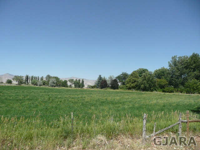 1111 Sundial Road Grand Junction, CO 81505 - Photo 8 of 12 a view of a grassy field with trees