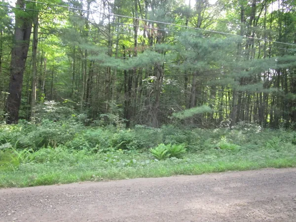 $39,000 | 0 Shunpike Road, Ashley Falls, MA 01222