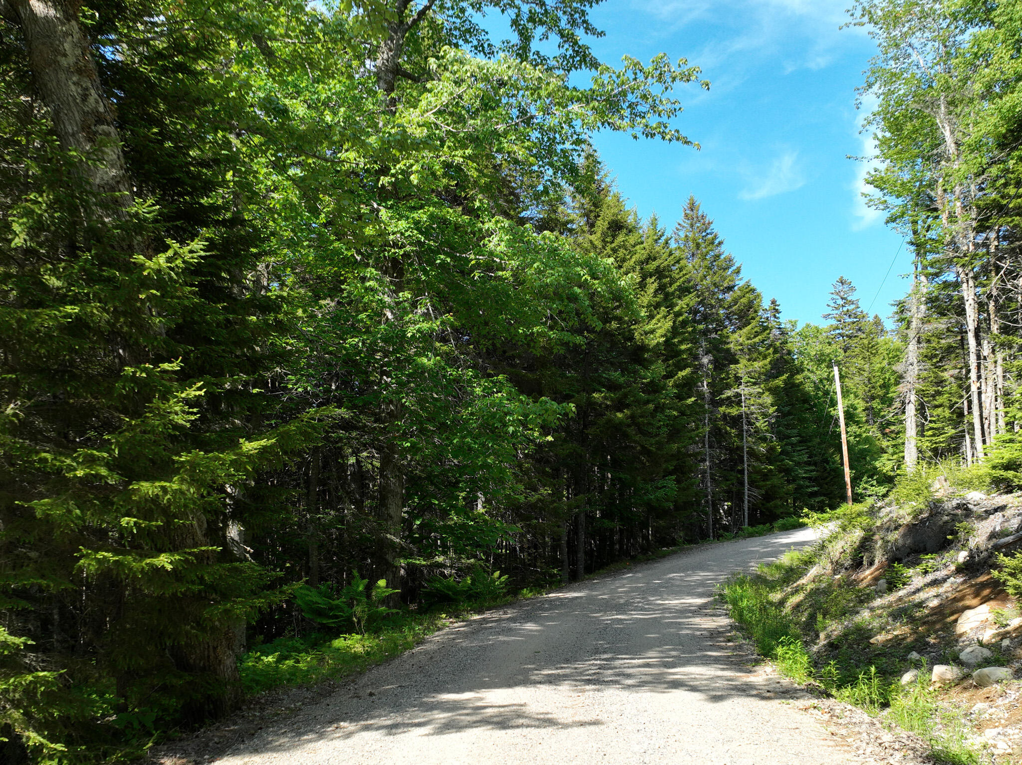 Lot #73 Nepp Point Road Roque Bluffs, ME 04654 - Photo 13 of 13 DJI_0468