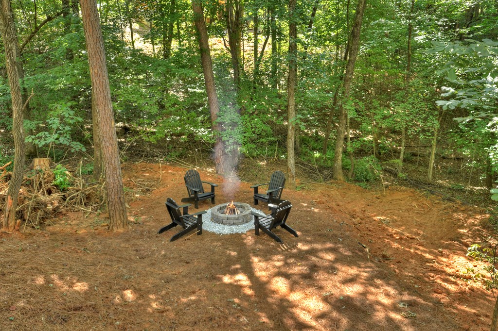 135 Windy Valley Lane Blue Ridge, GA 30513 - Photo 59 of 63