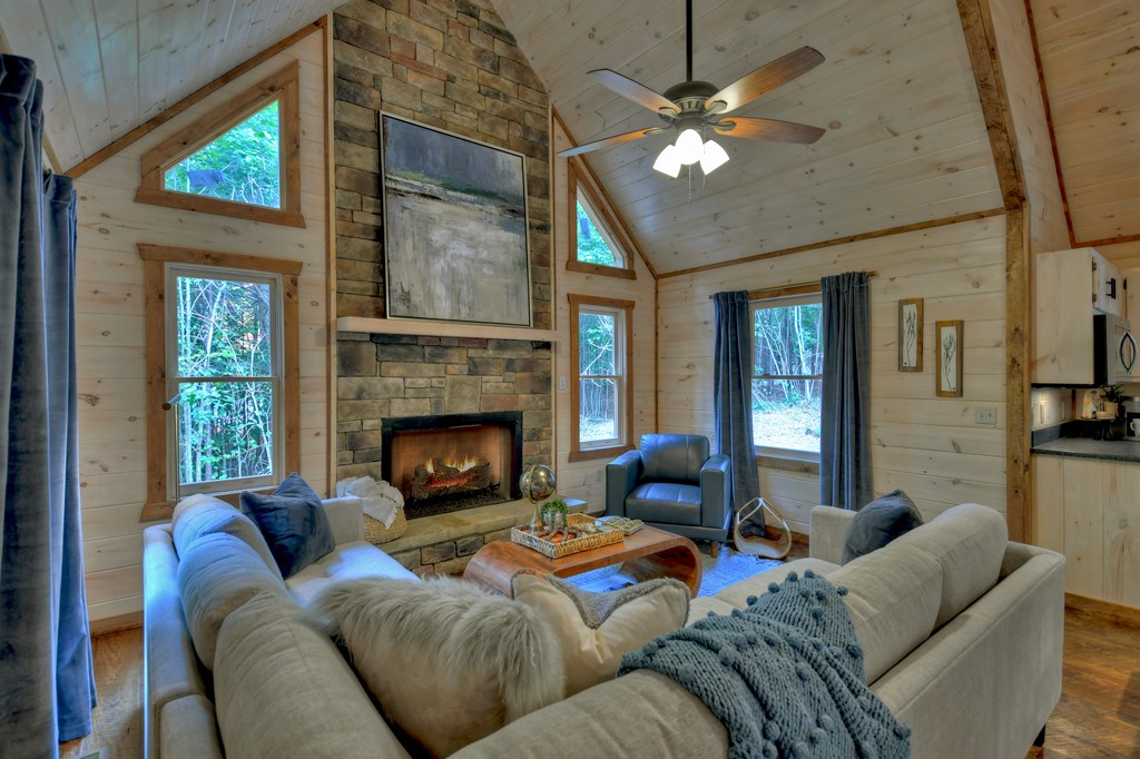 135 Windy Valley Lane Blue Ridge, GA 30513 - Photo 8 of 63 a living room with furniture and a fireplace