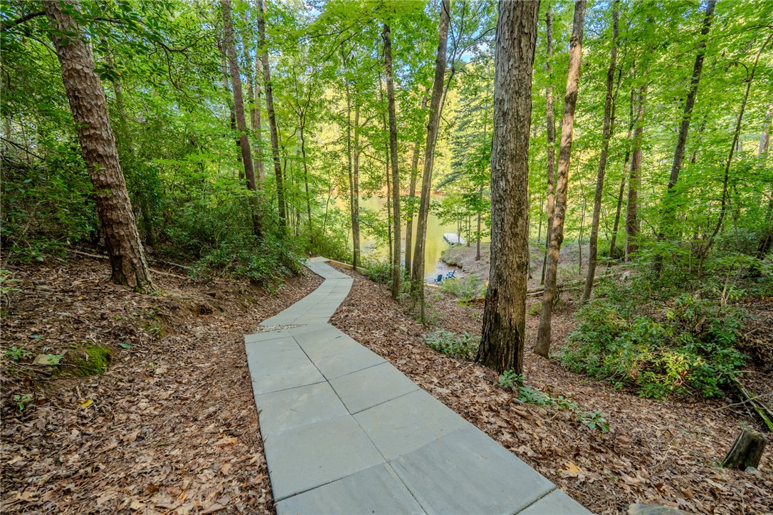 414 Sue Craig Road Six Mile, SC 29682 - Photo 44 of 50