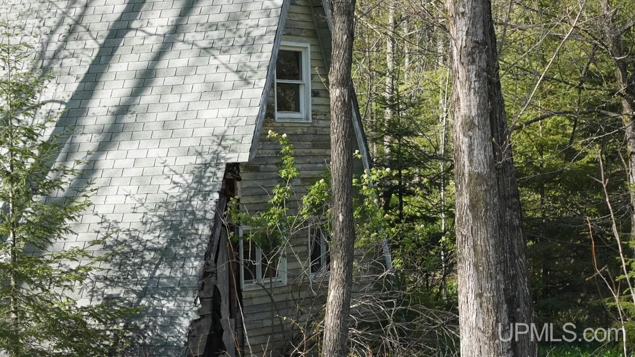 Tbd County Line Road Hermansville, MI 49847 - Photo 15 of 20