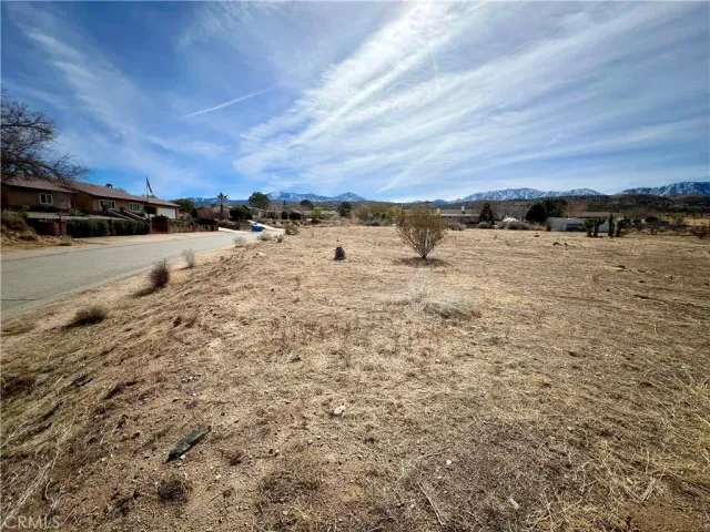 $60,000 | 0 163 Ste Vic Burning Tree Street East, Llano, CA 93544