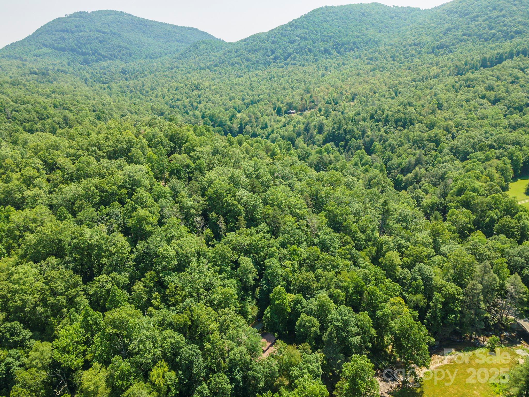 4 Roys Lane Black Mountain, NC 28711 - Photo 2 of 11 a view of a lush green hillside and a houses